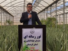 توسعه کشت گلخانه ای کردستان در دستور کار جهادکشاورزی