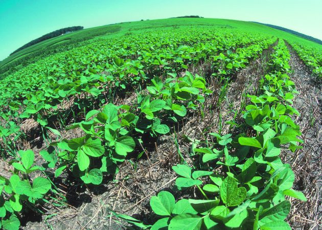 هدفگذاری اجرای ۵۰۰ هزار هکتار کشاورزی حفاظتی در سال زراعی جاری