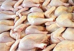روزانه بیش از ۱۰۵ تن گوشت مرغ در بازار استان بوشهر توزیع می‌شود