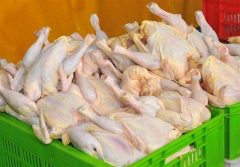 مصوبه مرغی ستاد تنظیم بازار/ کمیته ساماندهی بازار مرغ و تخم‌مرغ تشکیل می‌شود