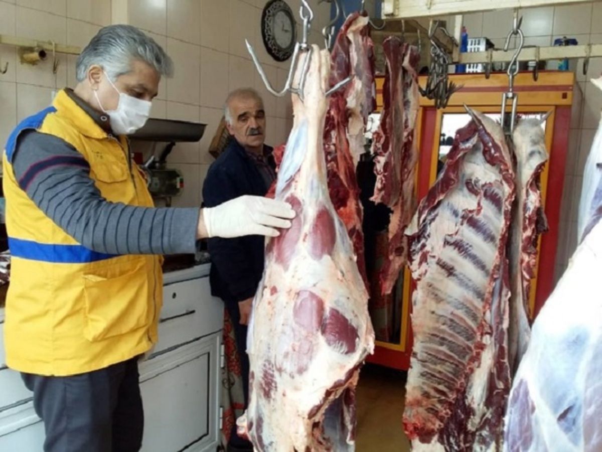 هشدار دام پزشکی کردستان به مردم در مورد گوشت غیر بهداشتی اسب!