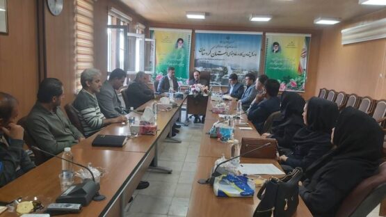 انجام سالانه ۱۲ هزار بازرسی از واحدهای کارگری کردستان