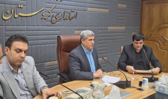 معاون سیاسی