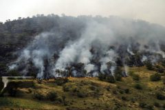 مهار آتش سوزی درجنگل‌های بلوط کردستان