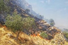 آتش سوزی در ارتفاعات شهرستان دشتستان مهار شد