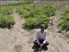۶ ماه از تخریب باغ کشاورز سنندجی بدون تحقق وعده‌ها گذشت