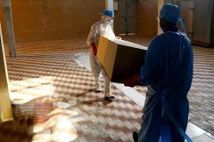 مرگ ۲۰ بیمار مبتلا به کرونا در البرز